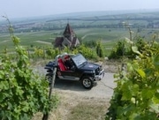 Buggy Rheinhessen