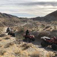 Joshua Tree