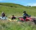 Oberhavel Wald und Wiesen Tour