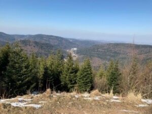 Quadtour Schwarzwald